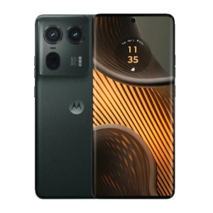 Forest Grey Forest Grey