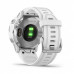 Спортивные часы Garmin Fenix 6S Silver/White (010-02159-00)